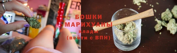 индика Липки