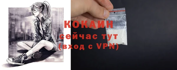 индика Липки