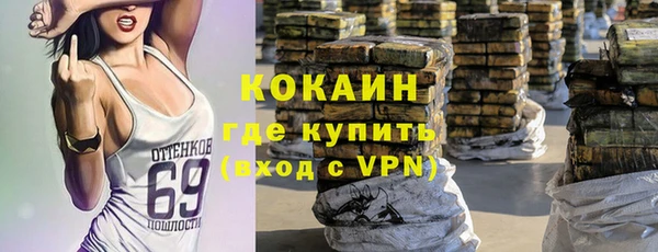 PSILOCYBIN Лихославль