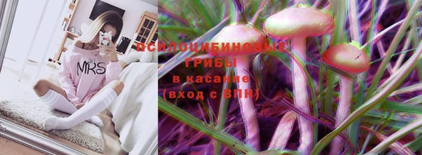 spice Лабытнанги