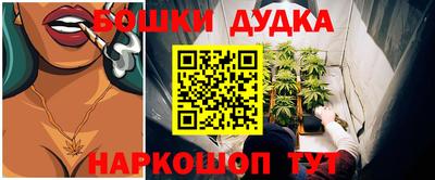 не бодяженный Гай
