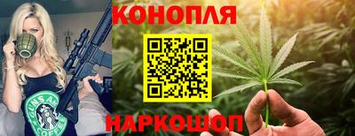 не бодяженный Гай