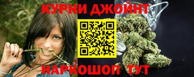jwh Гатчина